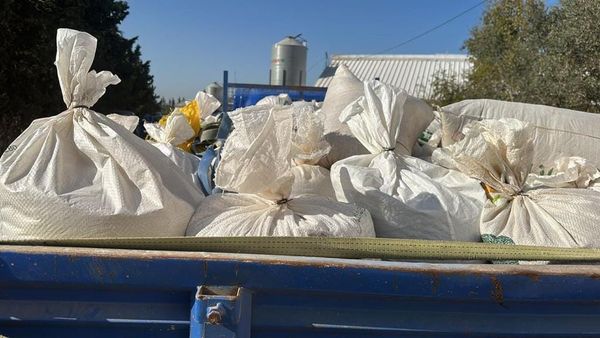 بن عروس/ حجز أطنان من العلف مجهول المصدر (صور)