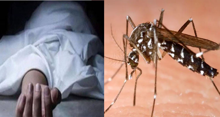 توزر/ حالة وفاة واصابات بحمى غرب النيل