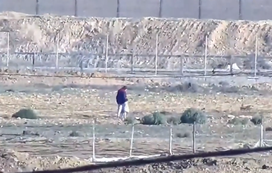 القسّام تفرج عن مستوطنة إسرائيلية وطفليها