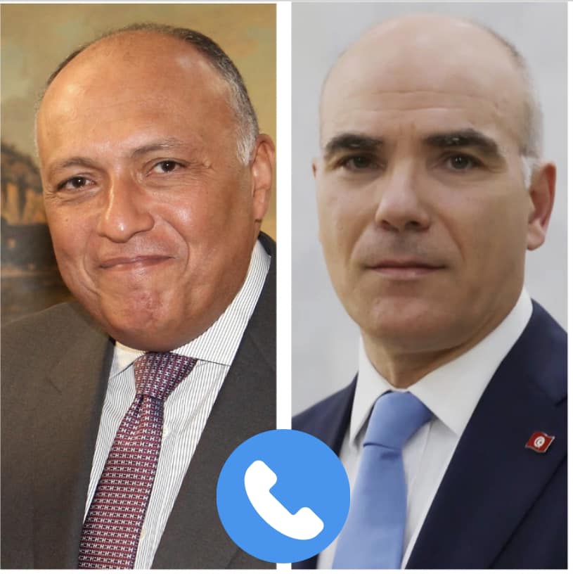 نبيل عمار ووزير الخارجية المصري