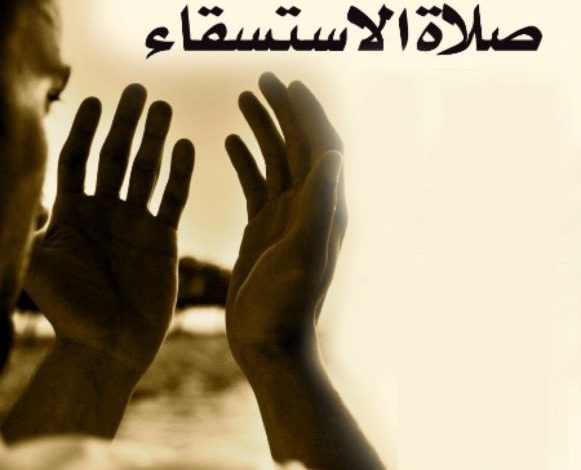 الجمعة.. إقامة صلاة الاستستقاء بـ95 جامعا في باجة