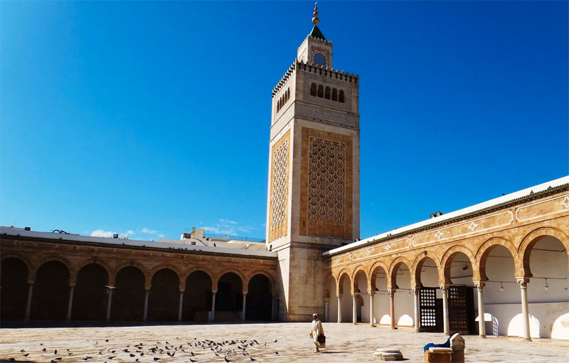 دعوة للتحسيس بخطورة داء الكلب في المساجد