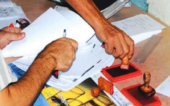 وزيرة الاقتصاد .. نعمل على حذف التراخيص تدريجيا