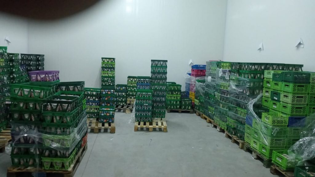 ياغرط معد للاحتكار