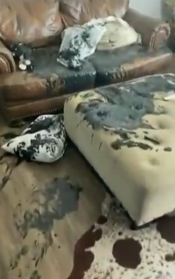 أب يُصاب بصدمة مما فعله أبنه في المنزل أثناء غيابه .. شاهد أب يُصاب بصدمة مما فعله أبنه في المنزل أثناء غيابه .. شاهد