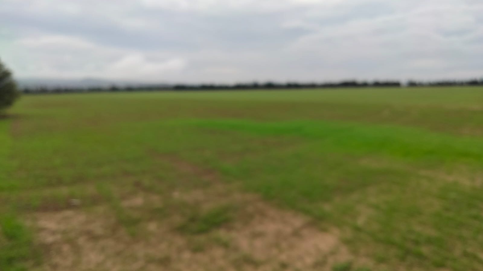 استرجاع ضيعة دولية بسبب إخلالات.. التفاصيل استرجاع ضيعة دولية بسبب إخلالات.. التفاصيل