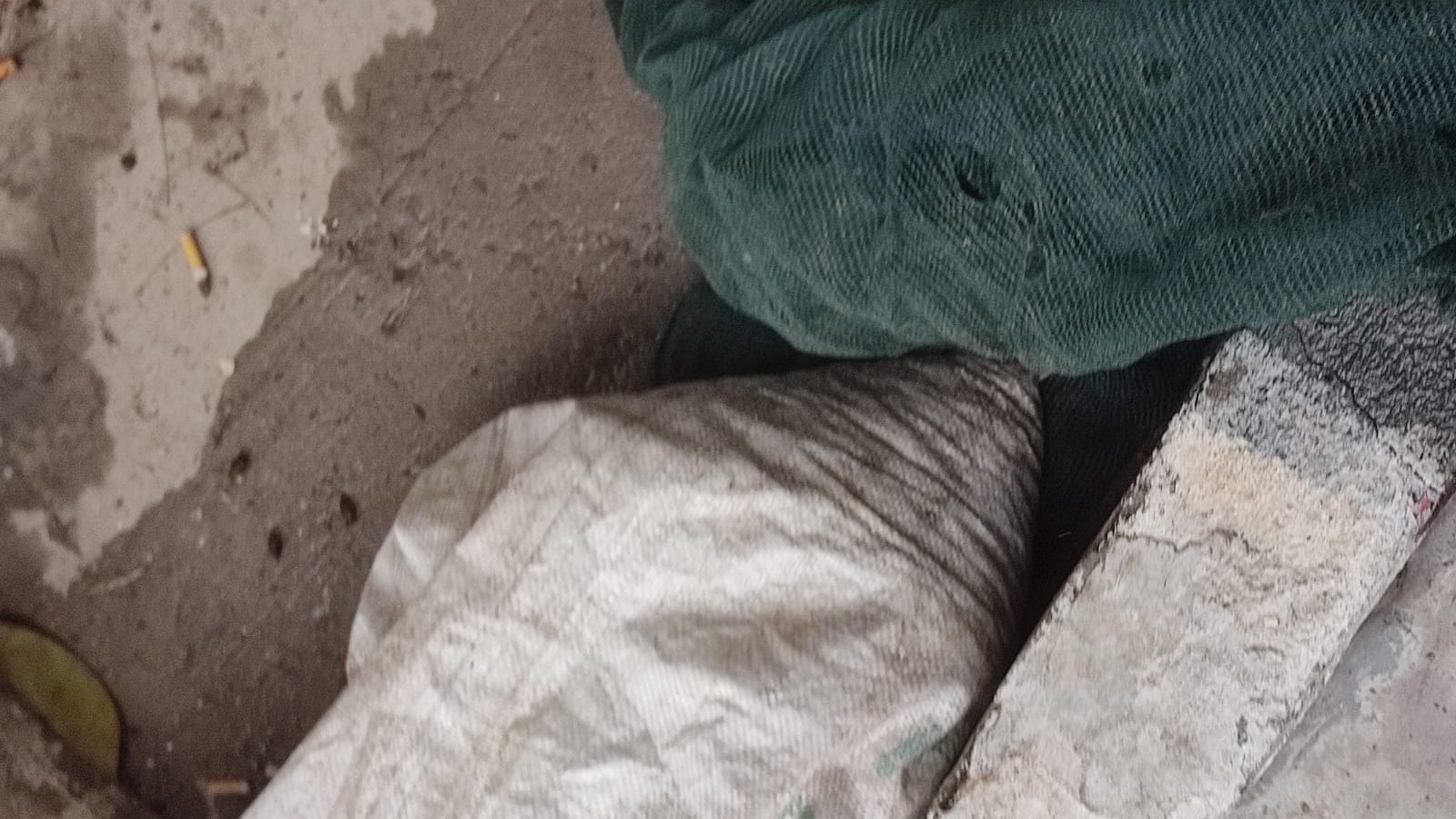 باجة/ إيقاف 5 اشخاص سرقوا كمية من الزيتون !! باجة/ إيقاف 5 اشخاص سرقوا كمية من الزيتون !!