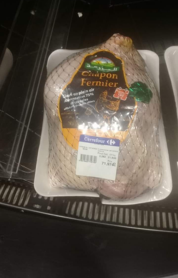 دجاجة الـ71 دينار تثير الجدل بين التونسيين.. ما قصتها؟ دجاجة الـ71 دينار تثير الجدل بين التونسيين.. ما قصتها؟