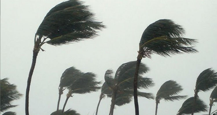 رياح تصل الى 110 كلم /س.. الرصــد الجوي يحذر رياح تصل الى 110 كلم /س.. الرصــد الجوي يحذر