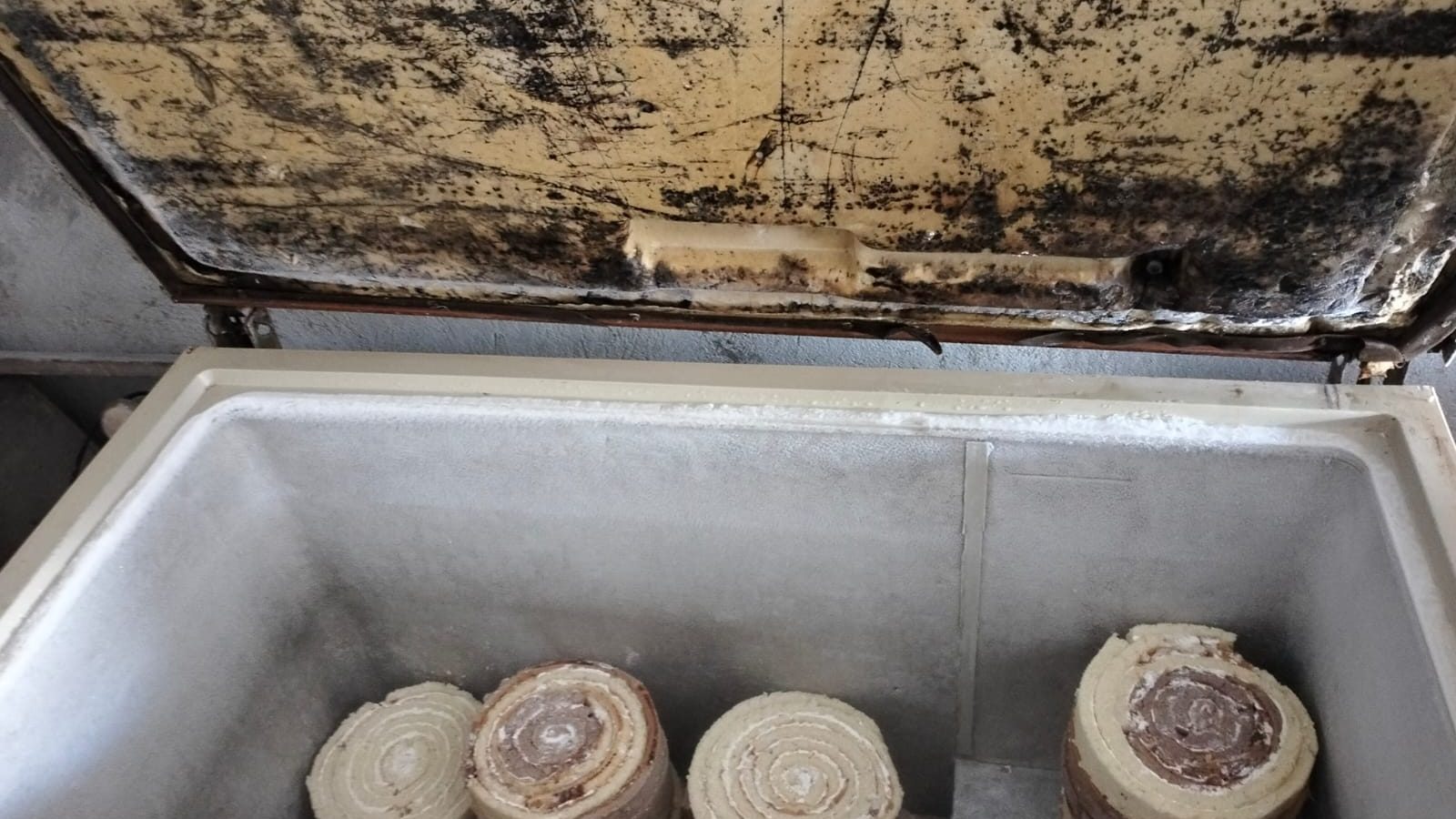 زغوان/ مداهمة محلات عشوائية لصنع المرطيات وهذا ماتم حجزه