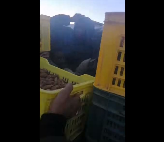 عقارب/ يخفي افارقة داخل صناديق تمر! عقارب/ يخفي افارقة داخل صناديق تمر!