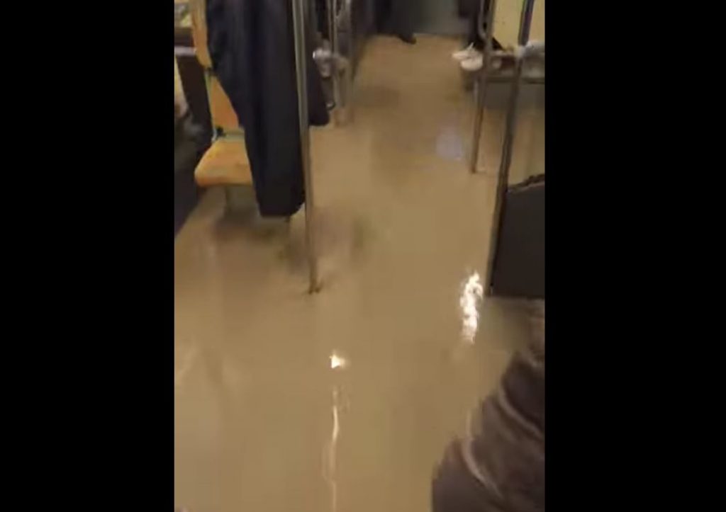 فوشانة .. الكار العائمة