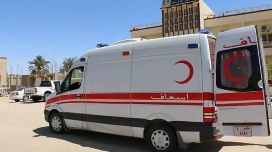 مرض “حمى الوادي المتصدع” يصل ليبيا ومجهودات لمنع انتشاره