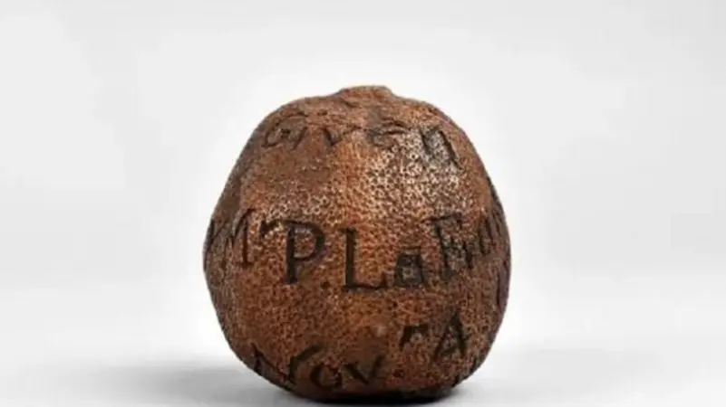 بيع ليمونة بـ1800 دولار.. ما قصتها؟