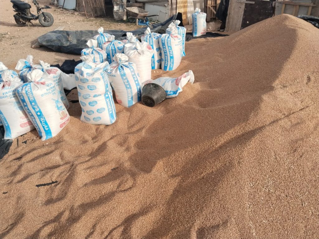 صفاقس.. حجز أكثر من 10 أطنان من القمح سُرقت من أحد الموانئ