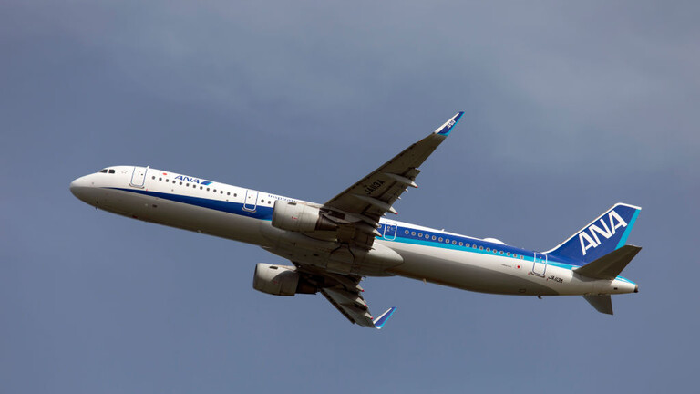 طائرة تعود أدراجها بعد أن عض رجل مضيفة طيران