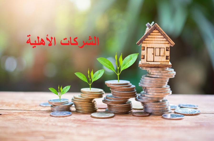 عدد الشركات الأهلية المحدثة منذ سنتين