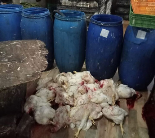 مذبح عشوائي