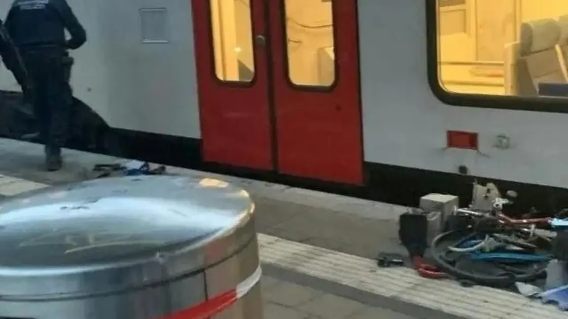 هكذا نجت مسنة مُقعدة مرّ فوقها قطار