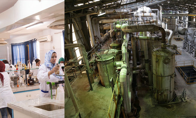 هل سيتم غلق مصنع اللّفت السكّري بجندوبة؟ هل سيتم غلق مصنع اللّفت السكّري بجندوبة؟