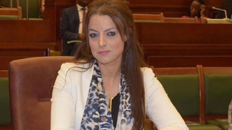 الخبيرة التونسية هاجر قلديش تُرافع أمام محكمة العدل الدولية