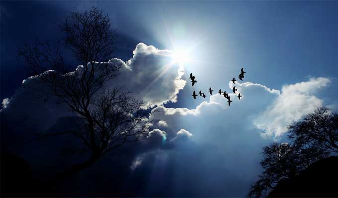 الليلة.. حالة الطقس ودرجات الحرارة المتوقّعة