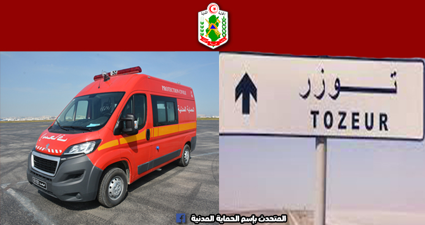 توزر/ سُلّم ينهي حياة شاب