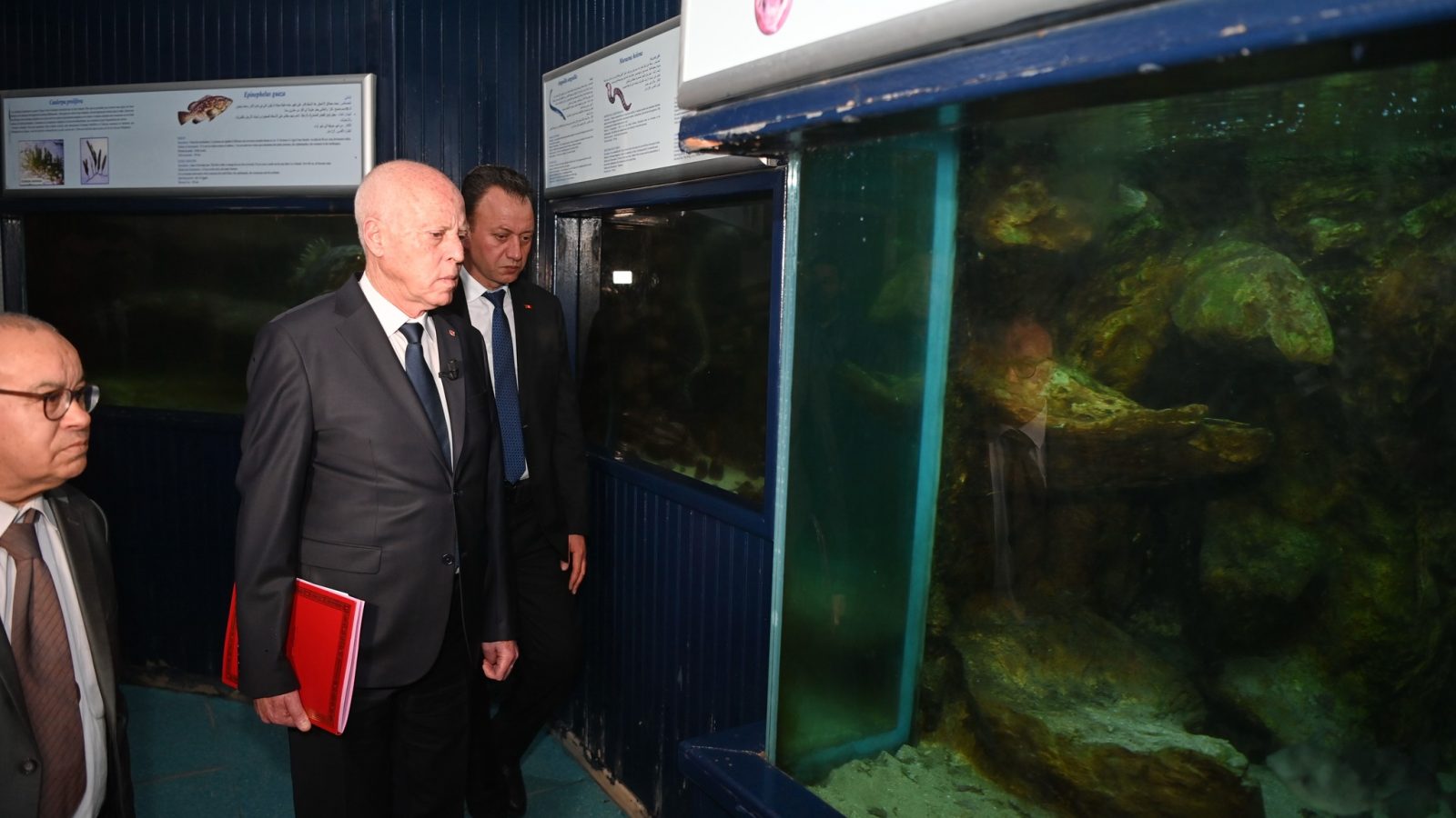 رئيس الجمهورية: “دار الحوت” مستهدفة من لوبيات البرّ (فيديو) رئيس الجمهورية: “دار الحوت” مستهدفة من لوبيات البرّ (فيديو)