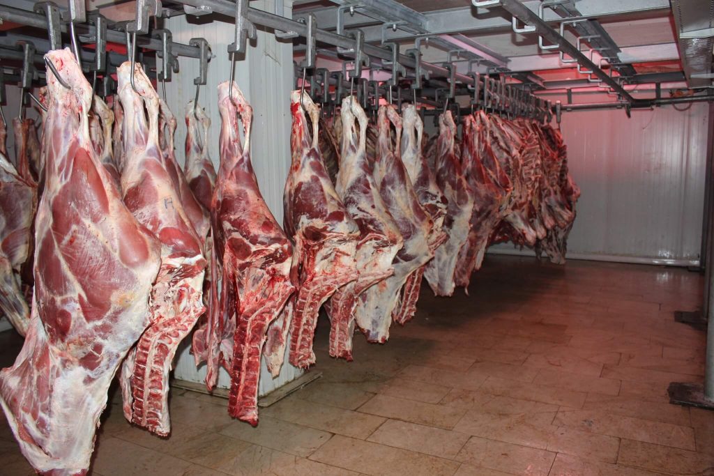 رئيس غرفة القصابين لتونس الان.... سعر لحم الضأن سيصل الى 50 دينارا والاقبال اكثر على لحوم الأحصنة
