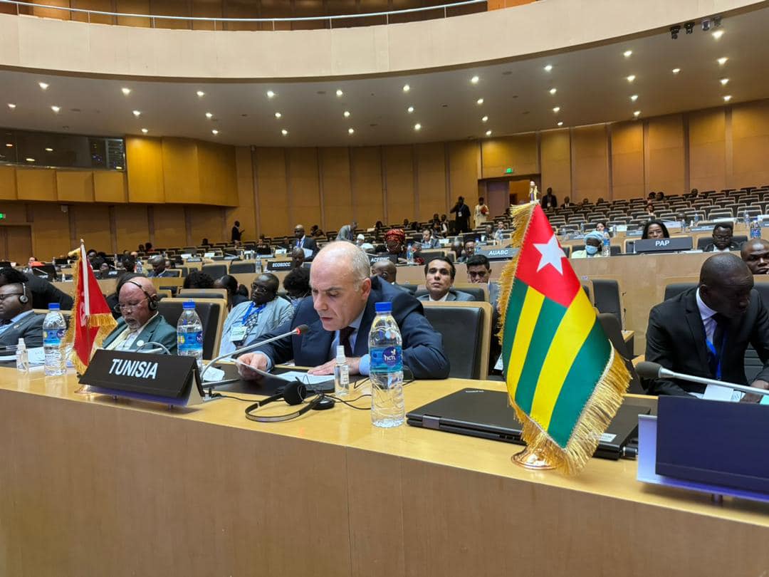 في المجلس التنفيذي للاتحاد الافريقي/ نبيل عمار يدعو لتعزيز مشاركة المرأة في المجلس التنفيذي للاتحاد الافريقي/ نبيل عمار يدعو لتعزيز مشاركة المرأة