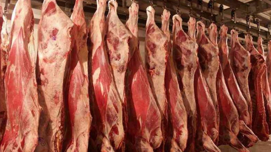 لحم العلوش ب 46 دينارا ونداء عاجل للدولة