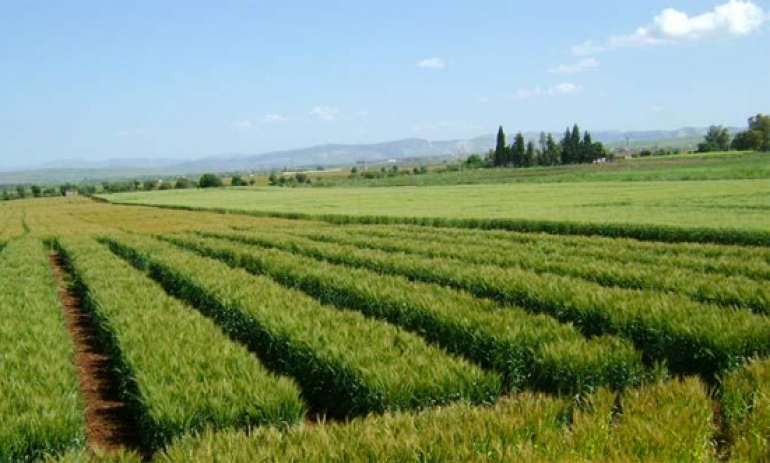 منوبة/ استرجاع عقارات دولية فلاحية منوبة/ استرجاع عقارات دولية فلاحية