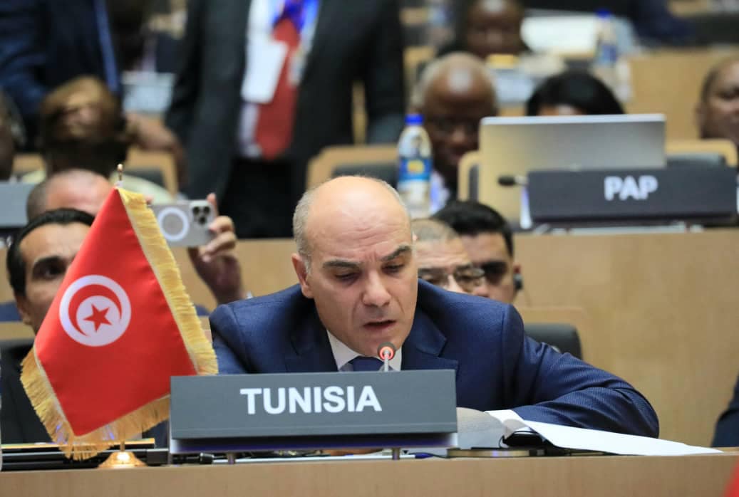 عمار عن انتخابات الاتحاد الإفريقي: ضمان تعيين الأكثر تأهيلا وكفاءة