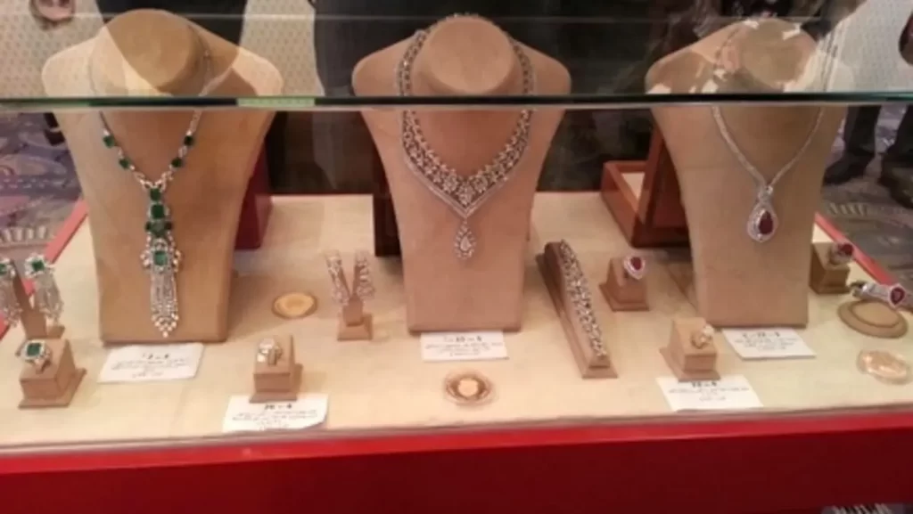 نواب يستاءلون عن مجوهرات عائلة بن علي ووزيرة المالية تجيب