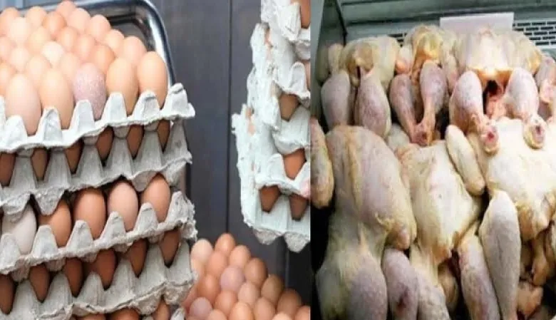هل ستنخفض أسعار الدجاج والبيض في رمضان؟