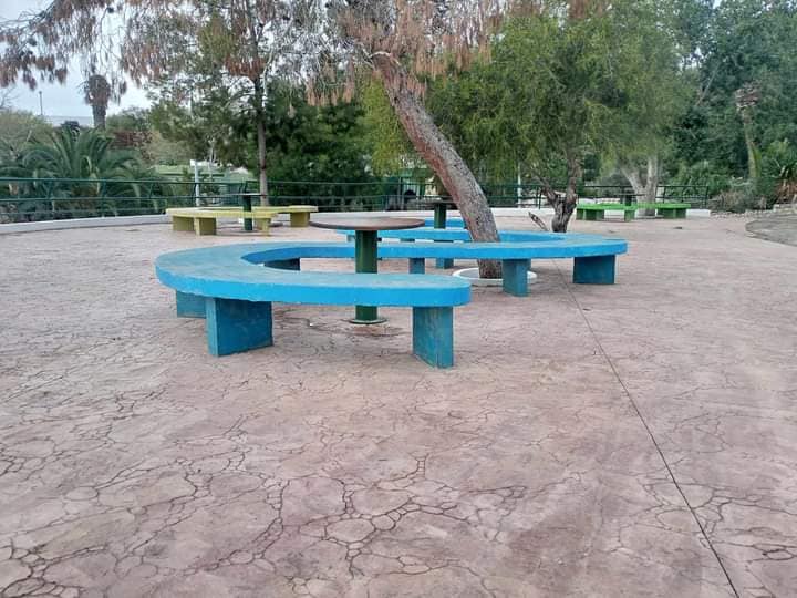 بلدية تونس تنشر صورا لحديقة البلفدير بعد التهيئة