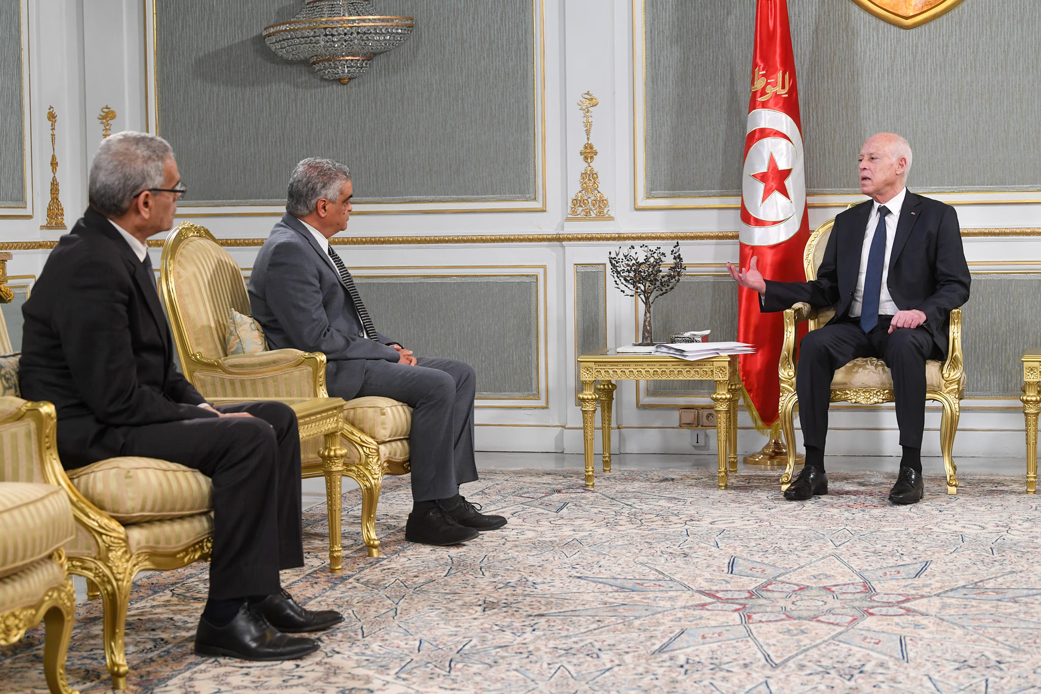 رئيس الجمهورية: حرية التعبير مضمونة