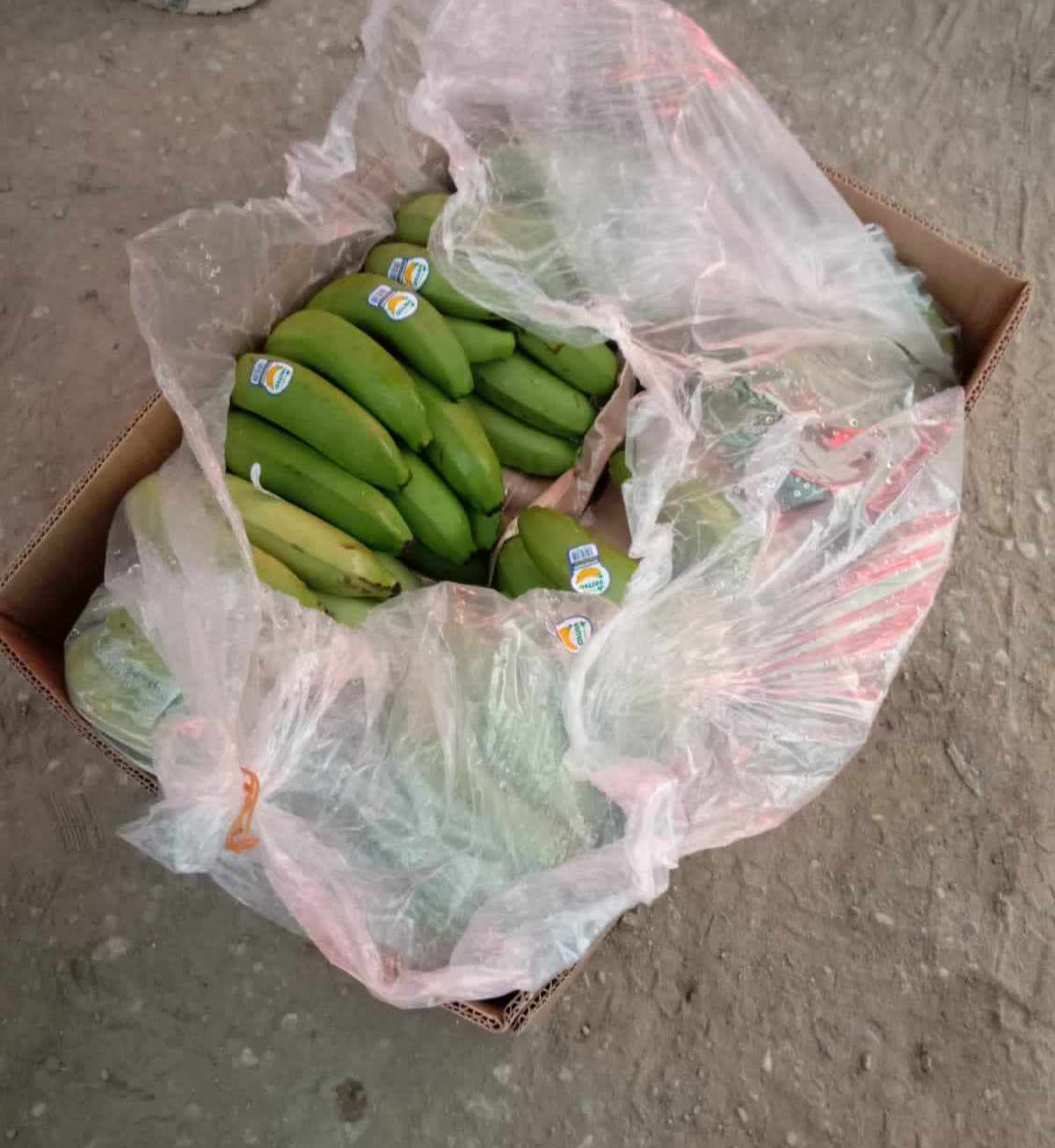 صور/ وصول الدفعة الاولى من الموز المصري