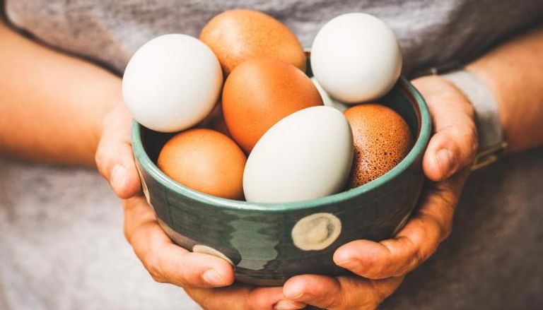 كم يستهلك التونسيون بيضا في شهر رمضان؟ (رئيس غرفة الدواجن يجيب “تونس الان”) كم يستهلك التونسيون بيضا في شهر رمضان؟ (رئيس غرفة الدواجن يجيب “تونس الان”)