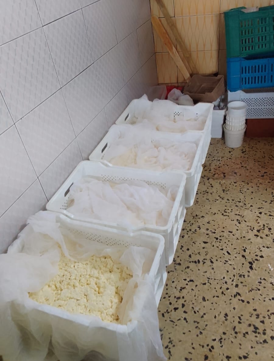 بنزرت/ شاهد ما تم حجزه في مستودع عشوائي لصنع الأجبان