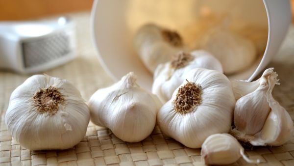 10 أعشاب تساعد على خفض الكوليسترول خلال الصيف