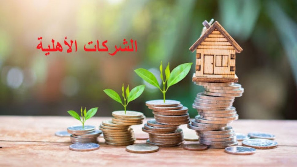 كل التفاصيل عن النظام الجبائي للشركات الأهلية