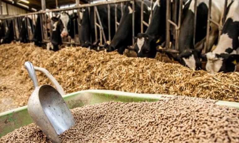 بلاغ من وزارة التجارة حول أسعار فيتورة الصوجا