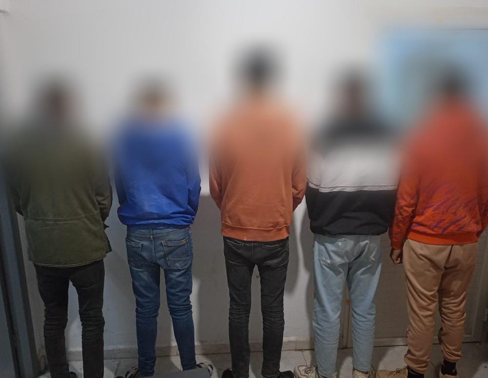 الفحص/ تفكيك شبكة لسرقة المواشي
