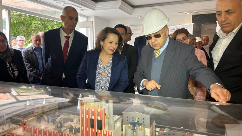 في زيارة للمجمع الكيميائي بقابس.. وزيرة الصناعة تدعو للنهوض لاسترجاع نسق انتاج الفسفاط