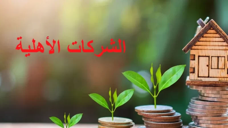 قريبا .. الترفيع في سقف تمويل الشركات الأهلية الى مليون دينار