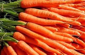 متى اكتسب الجزر لونه البرتقالي؟