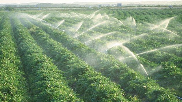 مسؤول: مجلة المياه ستكون جاهزة في غضون 10 أيام