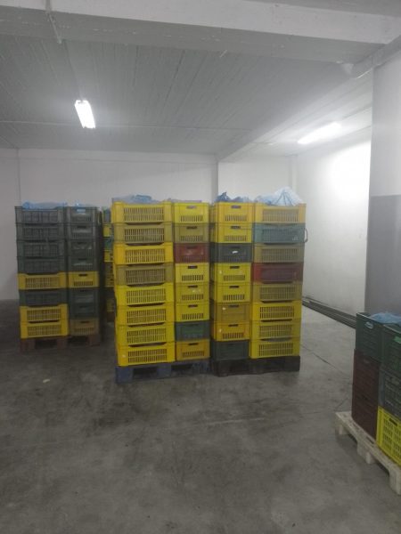 المحمدية.. الكشف عن مخزن لانتاج التمور الجافة (صور)