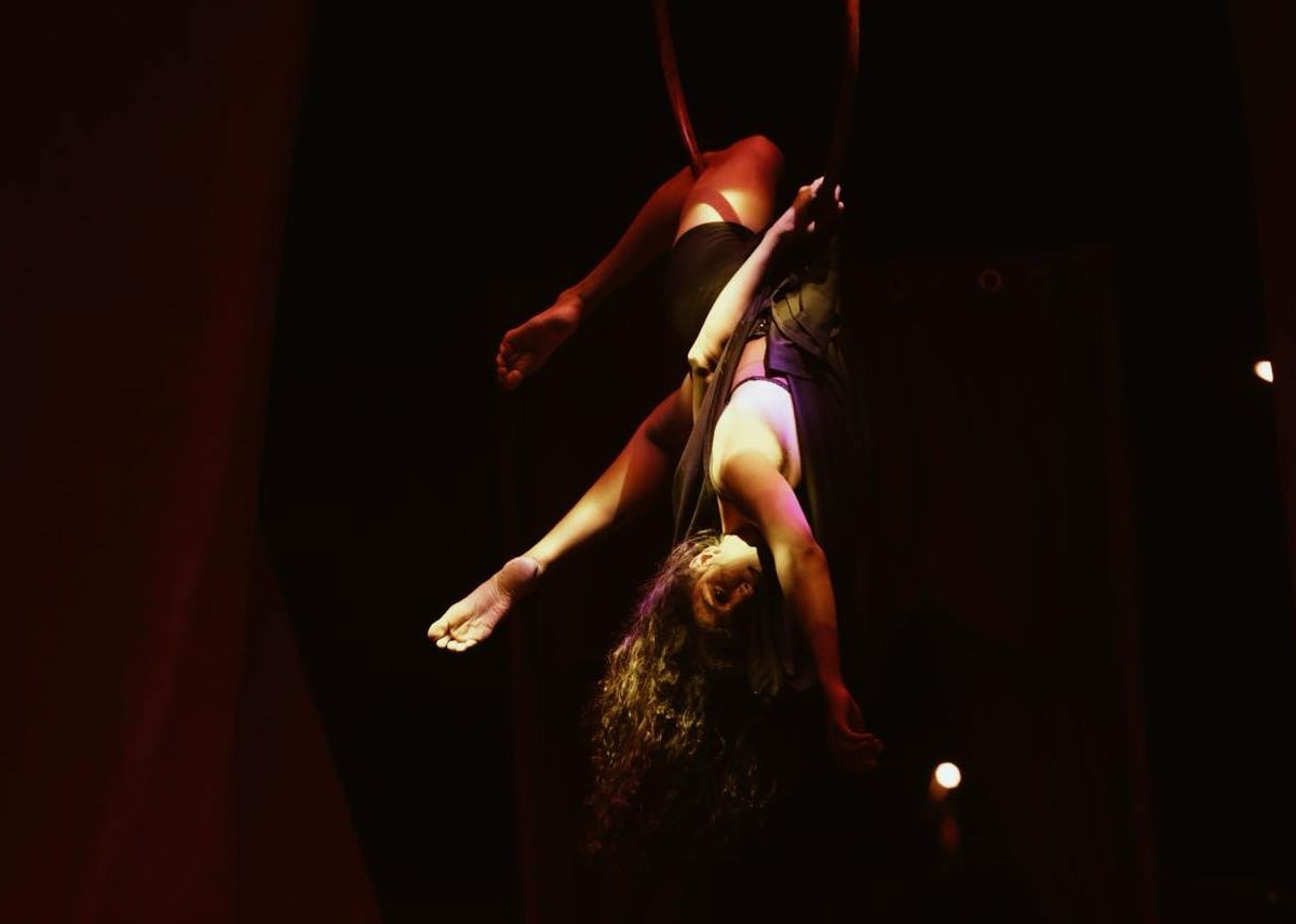 جديد المهرجان الدولي لفن السيرك (صور)